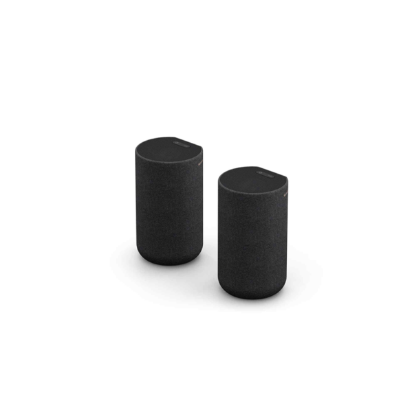 SONY SPEAKERS SA-RS5