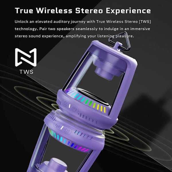 NAKAMICHI SPEAKERS NM LP30 BLUETOOTH SPEAKER BK