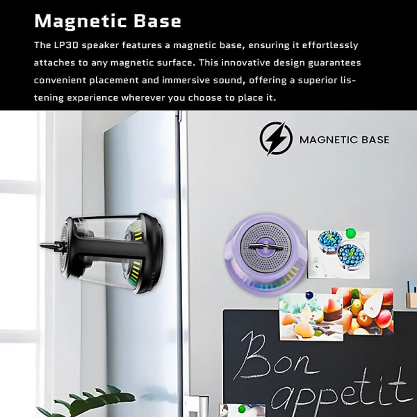 NAKAMICHI SPEAKERS NM LP30 BLUETOOTH SPEAKER LR