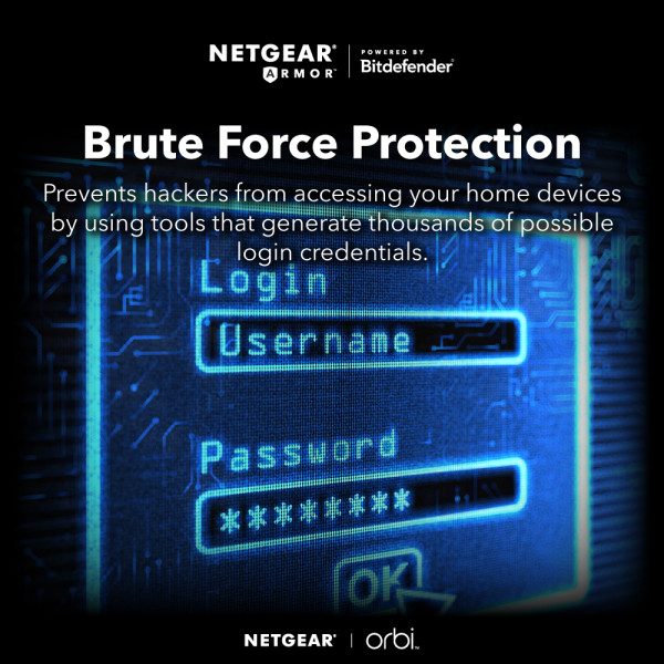 NETGEAR NETWORKING  EQUIPMENT RBK762S-100APS