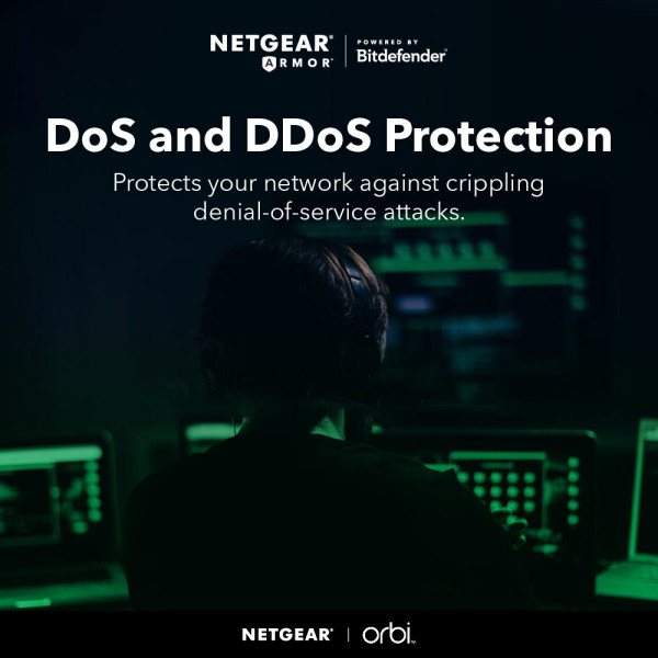 NETGEAR NETWORKING  EQUIPMENT RBK762S-100APS