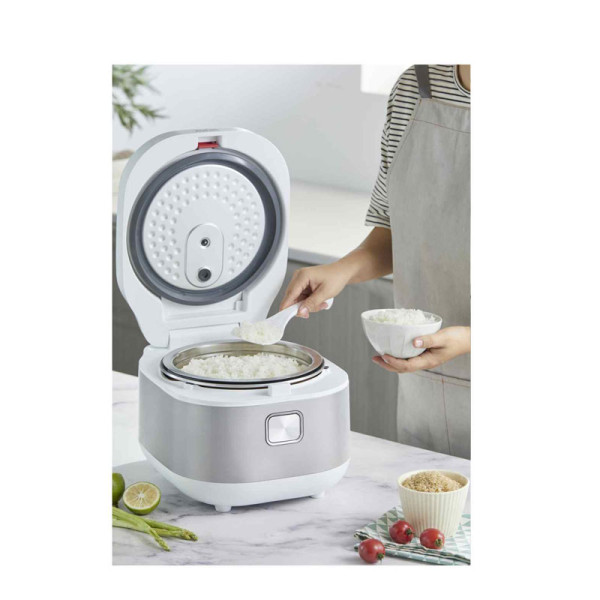 TEFAL RICE COOKER RK8621
