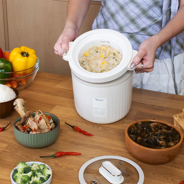 TOYOMI SLOW COOKER SC990