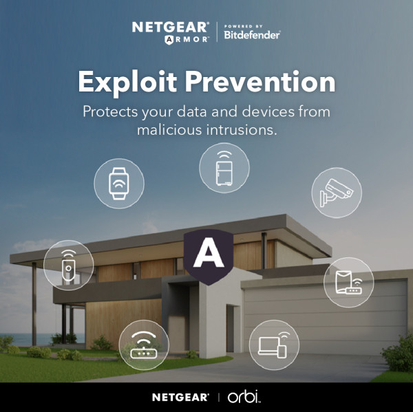 NETGEAR NETWORKING  EQUIPMENT RBK762S-100APS