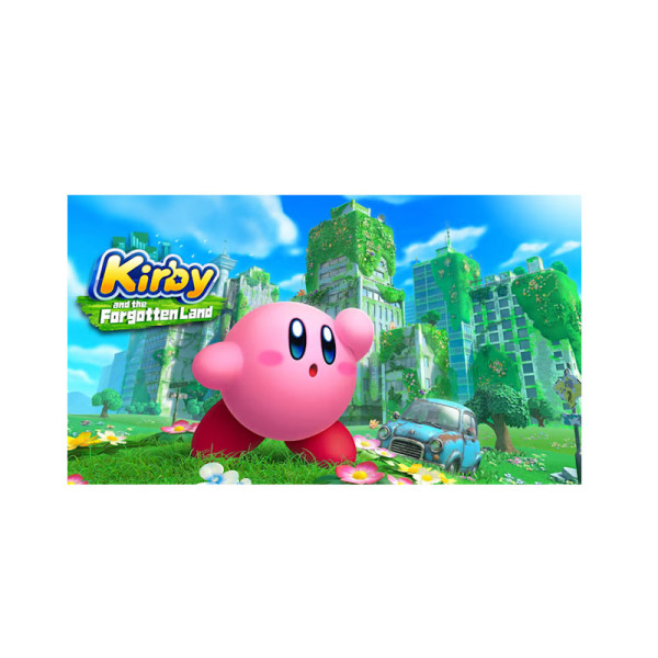 NINTENDO GAMING NTD-HAC-P-ARZGA-MSE