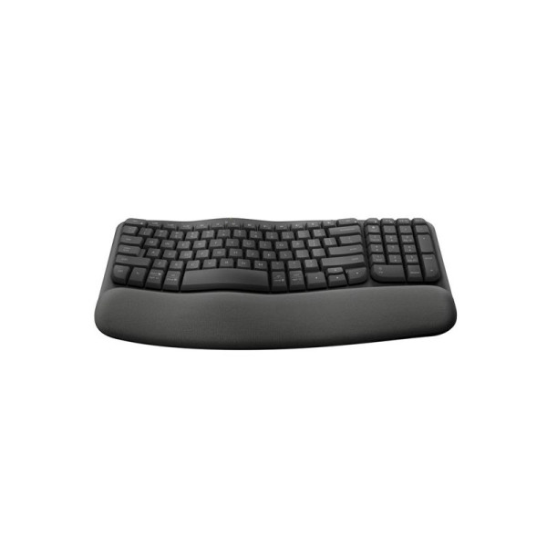 LOGITECH KEYBOARD 920-012281 (WAVE KEY GRAPHITE)