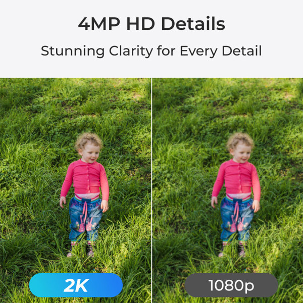 REOLINK NETWORKING  EQUIPMENT WCEP4MP04PT