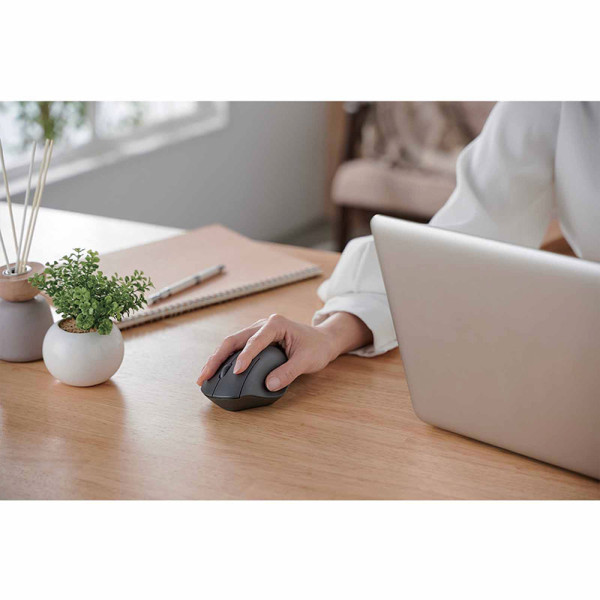 ELECOM MOUSE M-SH10MBSKBK