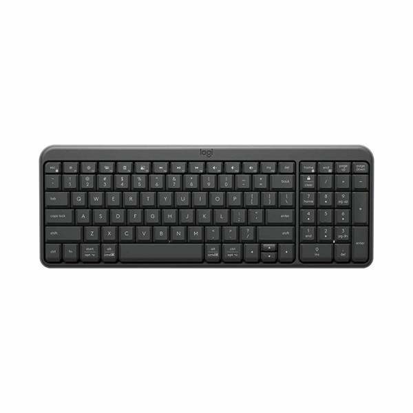LOGITECH KEYBOARD 920-013491 (K250-GRAP)