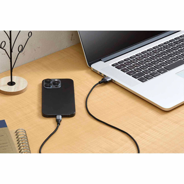 ELECOM CABLES MPA-ACASAN10BK