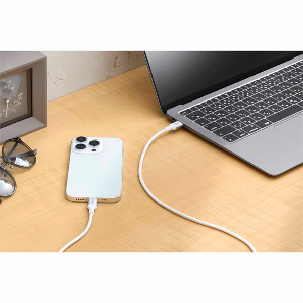 ELECOM CABLES MPA-CCASAN10WH