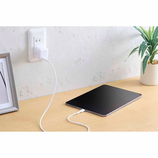 ELECOM CABLES MPA-CCASPE10WH