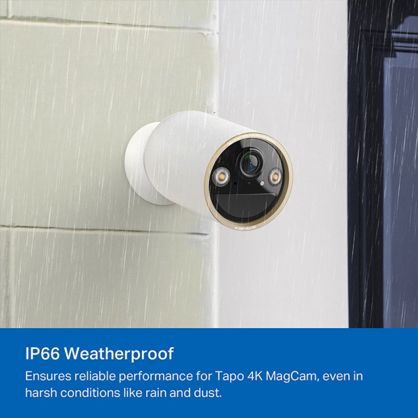 TP-LINK NETWORKING  EQUIPMENT TAPO C460