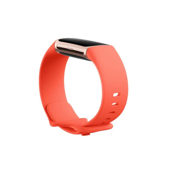 FITBIT FITNESS GA05184-CHARGE 6 COR/ GOLD