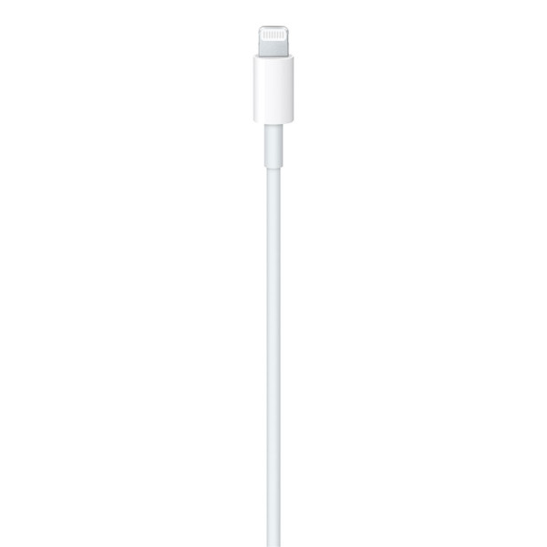 APPLE USB-C to Lightning Cable (2m) MW2R3ZA/A