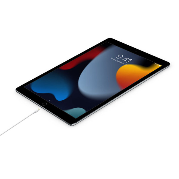 APPLE USB-C to Lightning Cable (2m) MW2R3ZA/A