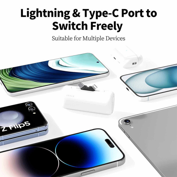 IWALK Apple 3PP Products LPS002-002A