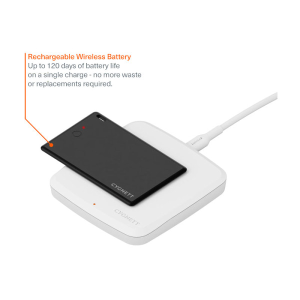 CYGNETT Apple 3PP Products CY5081CYBTT