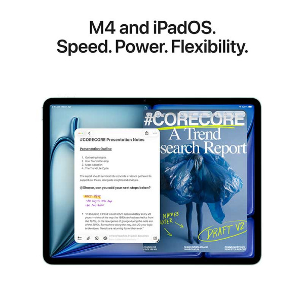 APPLE iPad MH304ZP/A