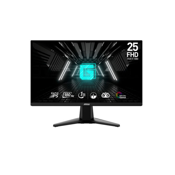 MSI MONITOR G255F