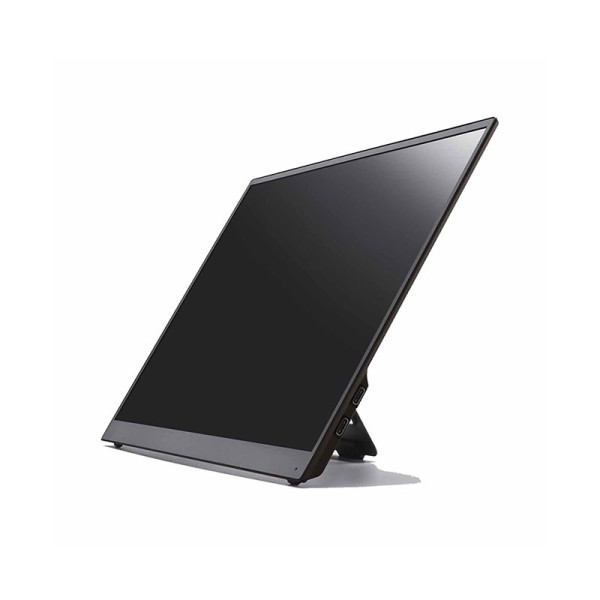 VAIO MONITOR VJ5VP141C12WS