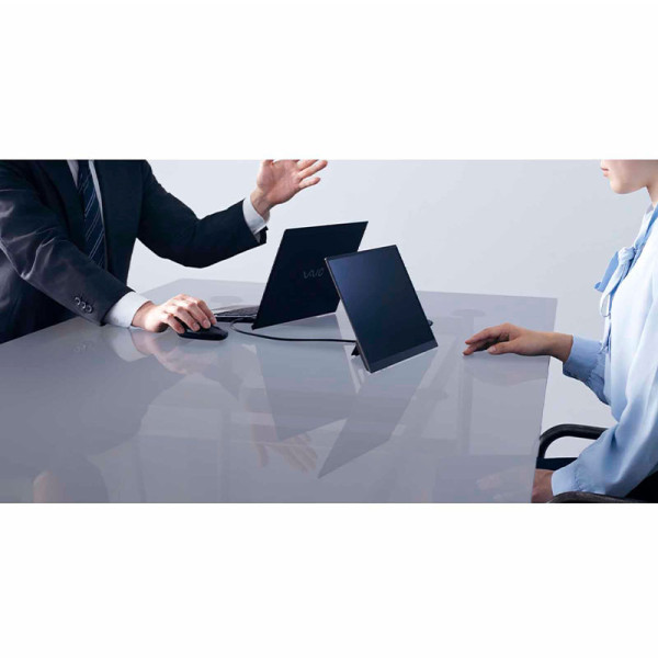 VAIO MONITOR VJ5VP141C12WS