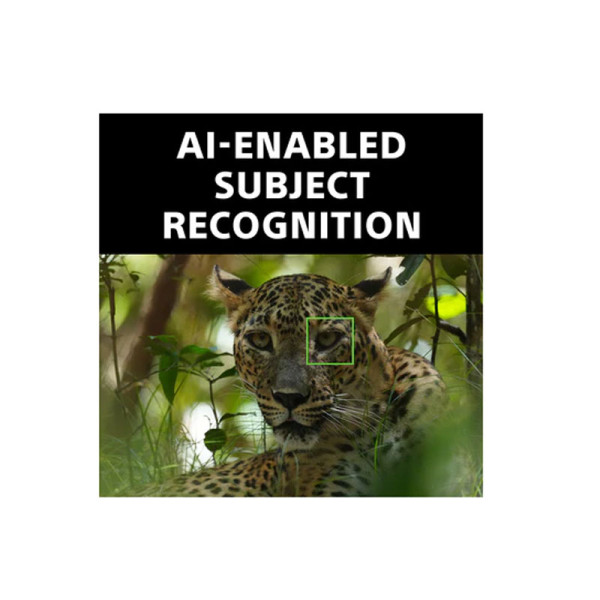 SONY INTERCHANGEABLE LENS ILCE-6700MBQ KIT 18-135MM