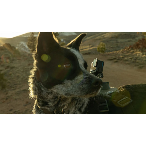 GOPRO DIGITAL VIDEO CAMERA CHDHF-131-AS (HERO)