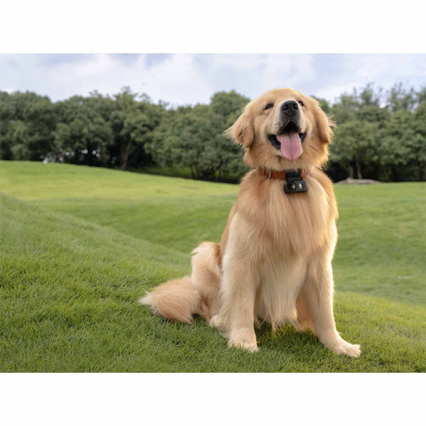 DJI DIGITAL VIDEO CAMERA OSMO NANO (128GB)