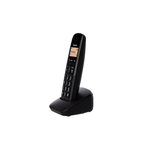 PANASONIC DECT PHONES KX-TGB312 CXB