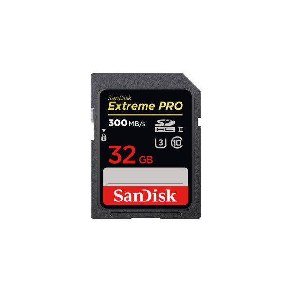 SANDISK MEMORY SD CARD SDSDXPK-032G-GN4IN
