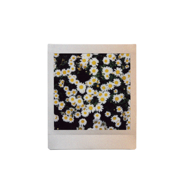 FUJIFILM DSC/DVC ACCESSORIES INSTAX SQUARE FILM SUNSET