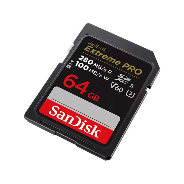 SANDISK MEMORY SD CARD SDSDXEP-064G-GN4IN
