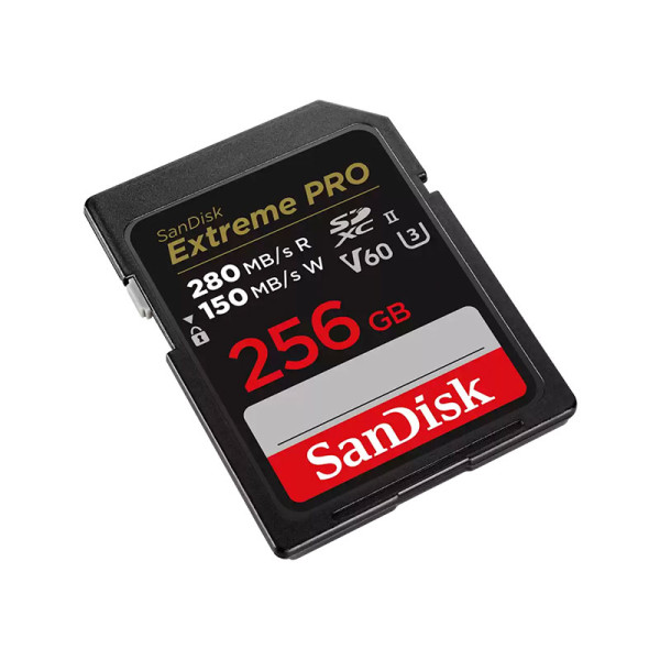 SANDISK MEMORY SD CARD SDSDXEP-256G-GN4IN
