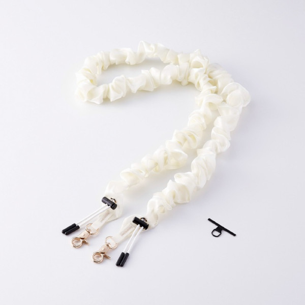 ELECOM Apple 3PP Products P-STSDH1SCEIV