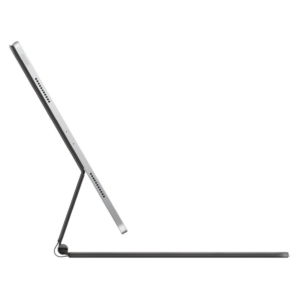 APPLE iPad Accessories MGYY4ZA/A