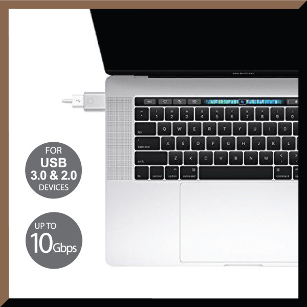 MAZER CABLES M-USBCOTG31-GY