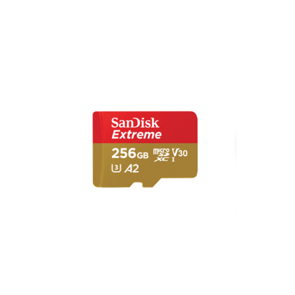SANDISK MEMORY SD CARD SDSQXAV-256G-GN6MN