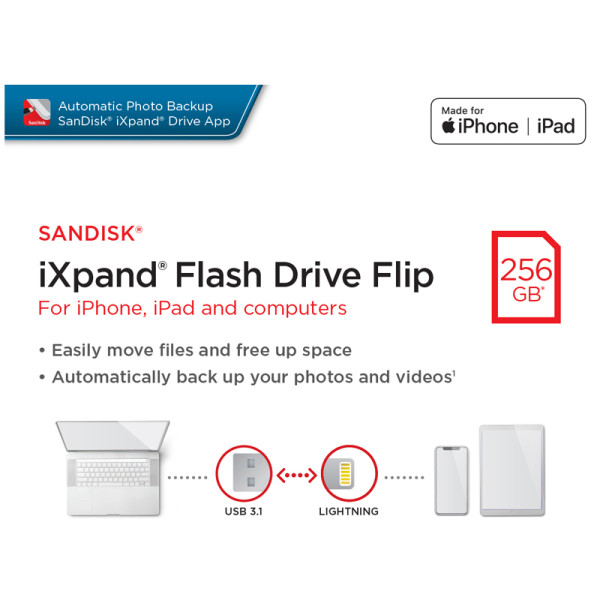 SANDISK DATA STORAGES SDIX90N-256G-GN6NE
