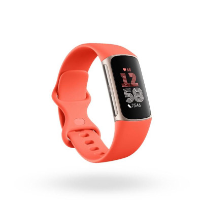 FITBIT FITNESS GA05184-CHARGE 6 COR/ GOLD