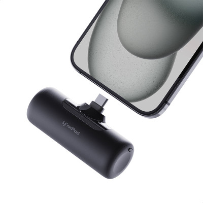 IWALK Apple 3PP Products LPB4500C-001A