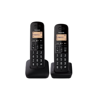 PANASONIC DECT PHONES KX-TGB312 CXB
