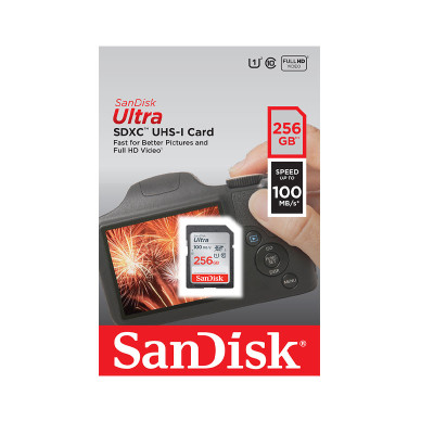 SANDISK MEMORY SD CARD SDSDUNR-256G-GN6IN