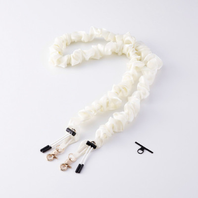 ELECOM Apple 3PP Products P-STSDH1SCEIV