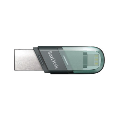 SANDISK DATA STORAGES SDIX90N-256G-GN6NE