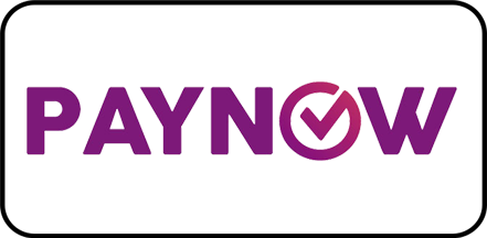 paynow_1