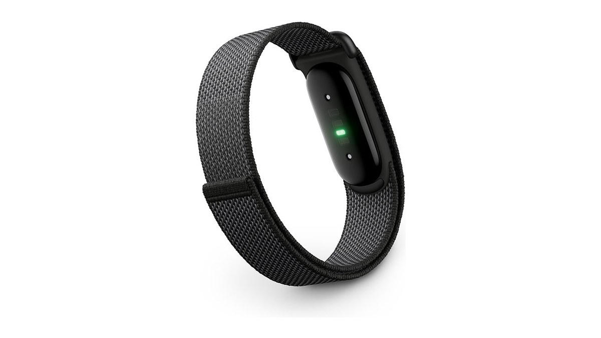 Google Fitbit