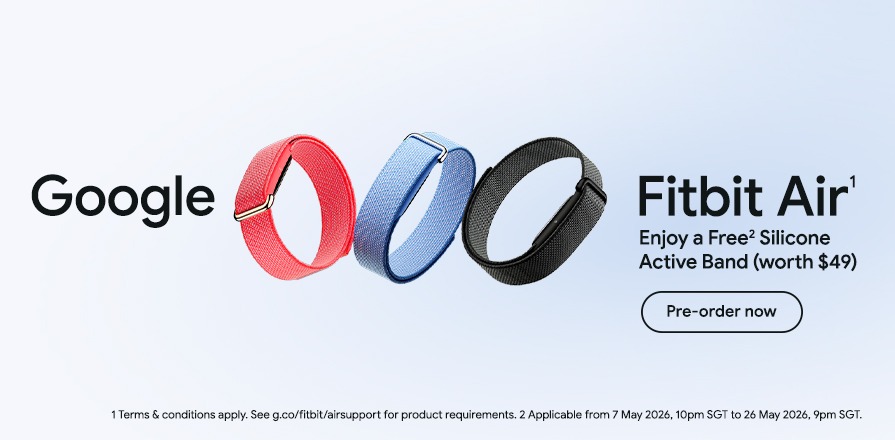 Google Fitbit PO