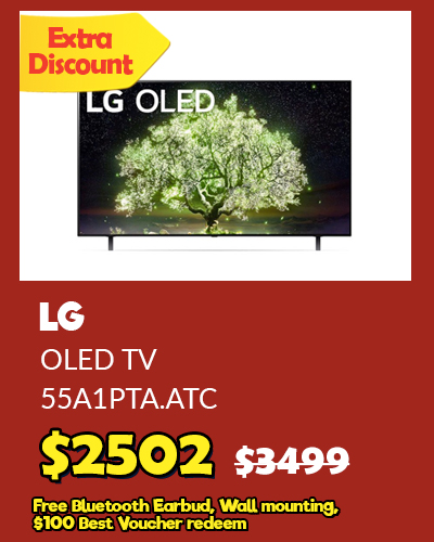 LG 55 OLED TV