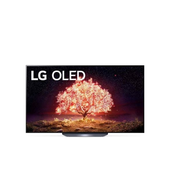LG OLED TV OLED65B1PTA.ATC